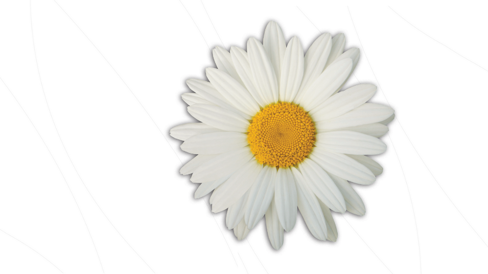 Castle.Proxies.HeroBlockProxy