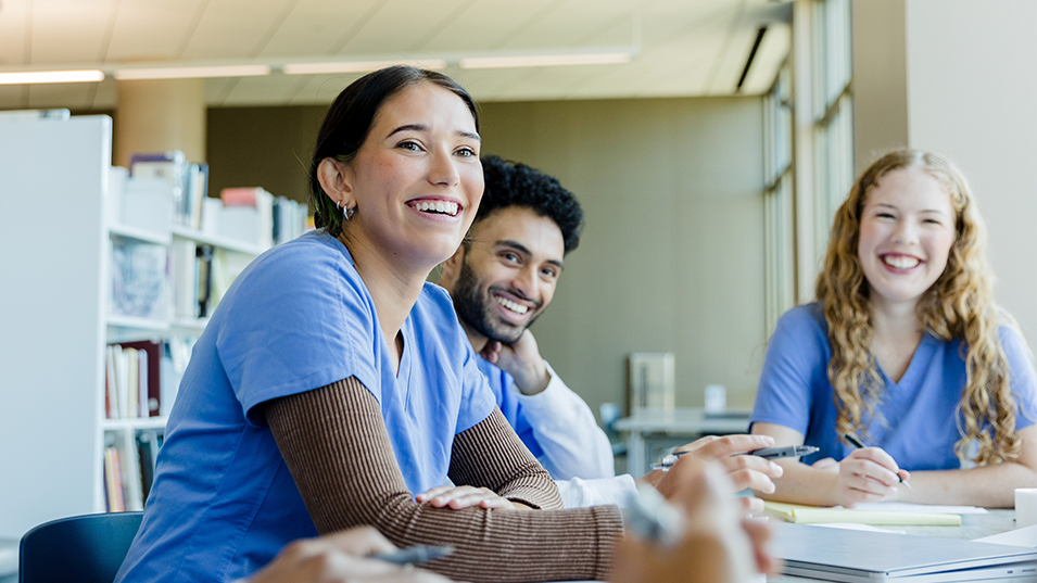 Castle.Proxies.HeroBlockProxy