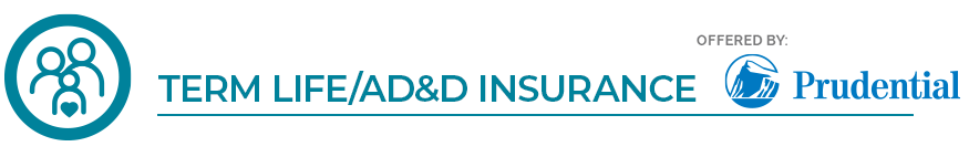 Term Life/AD&D Insurance