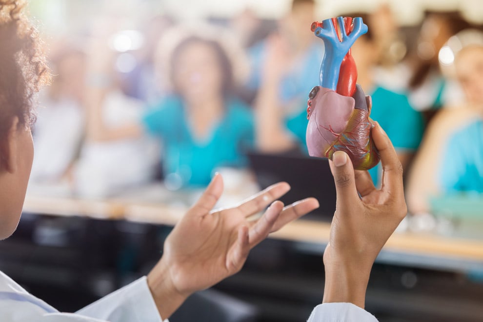 The image shows a nurse educator in a white lab coat, viewed from behind, holding and pointing to a detailed anatomical model of a human heart during a class. The heart model is in focus, with the educator's fingers indicating specific parts of the heart, likely explaining its structure and function. In the blurred background, students in teal scrubs are observing, indicative of an interactive learning environment where practical medical education is being imparted.